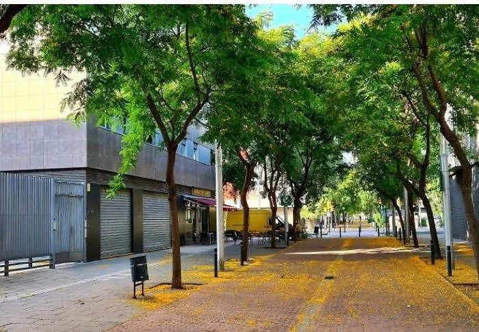 Luxe Forum Terrace Apartment